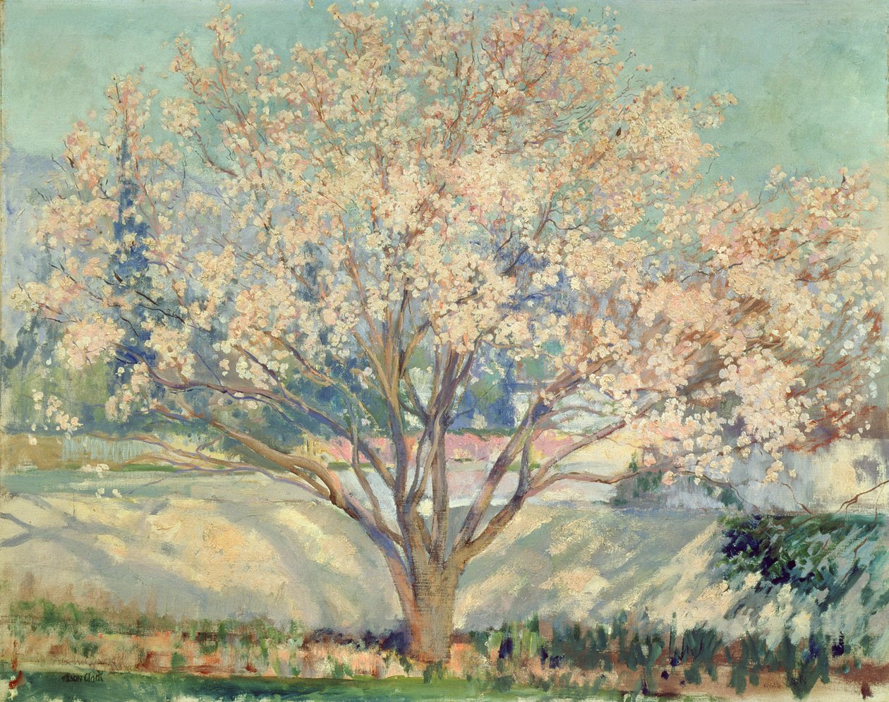 Badem Ağacı Çiçeği (tuval üzerine yağlı boya) by Alson Skinner Clark