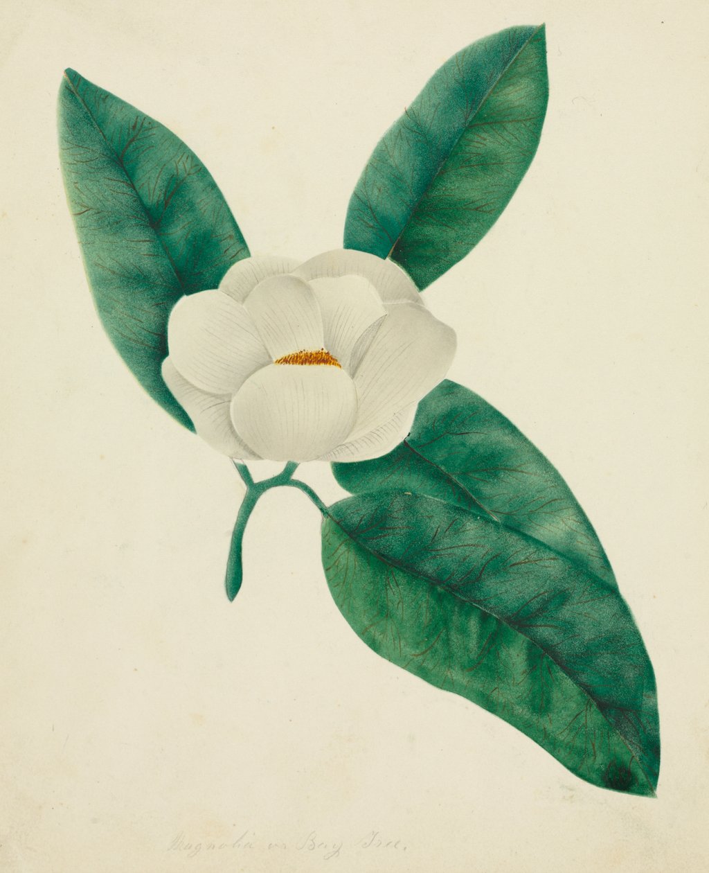  by Altha Mary Nims