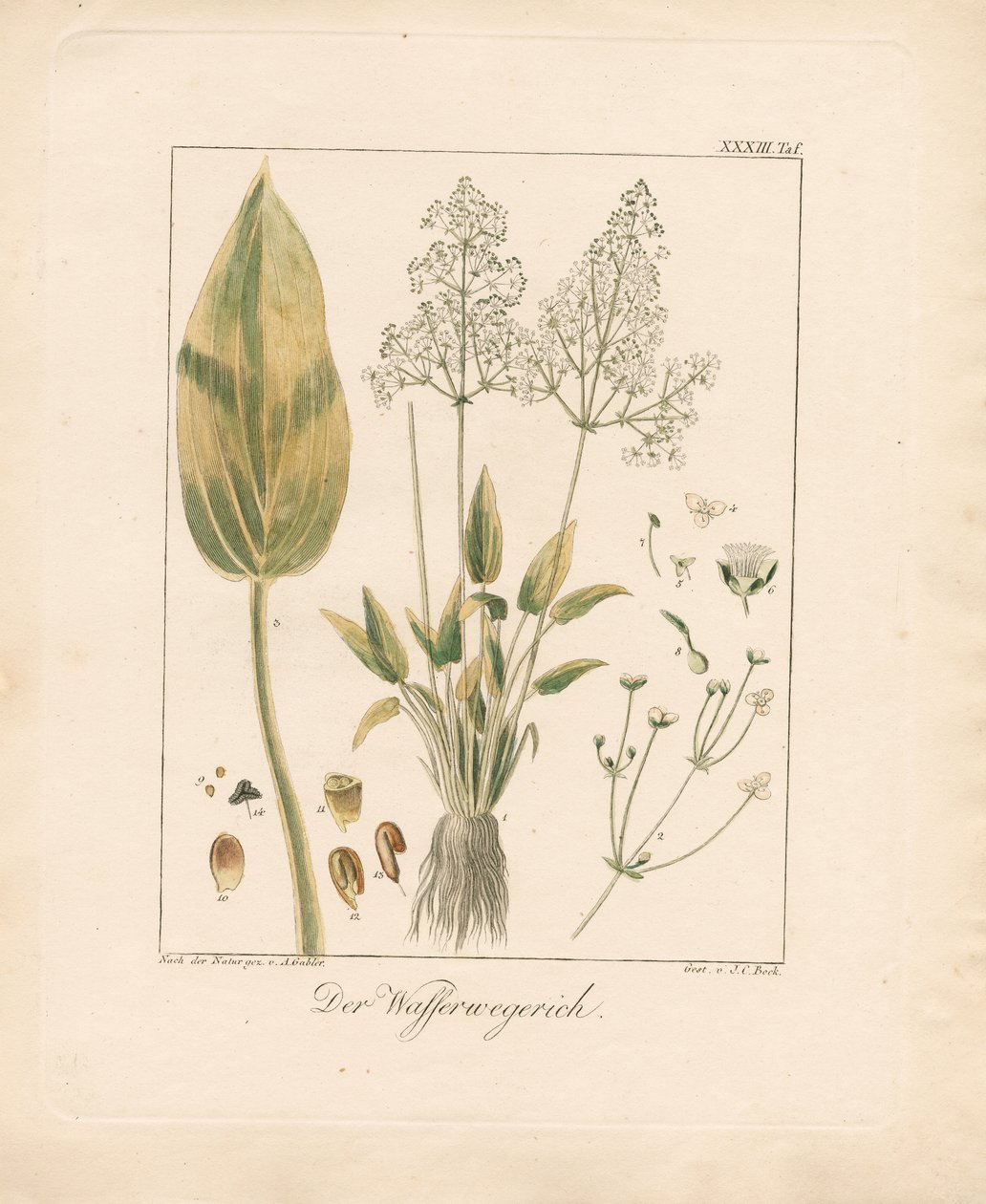  by Ambrosius Gabler