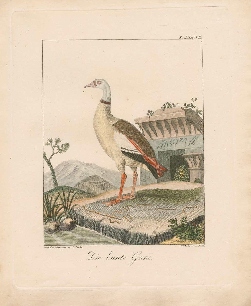  by Ambrosius Gabler