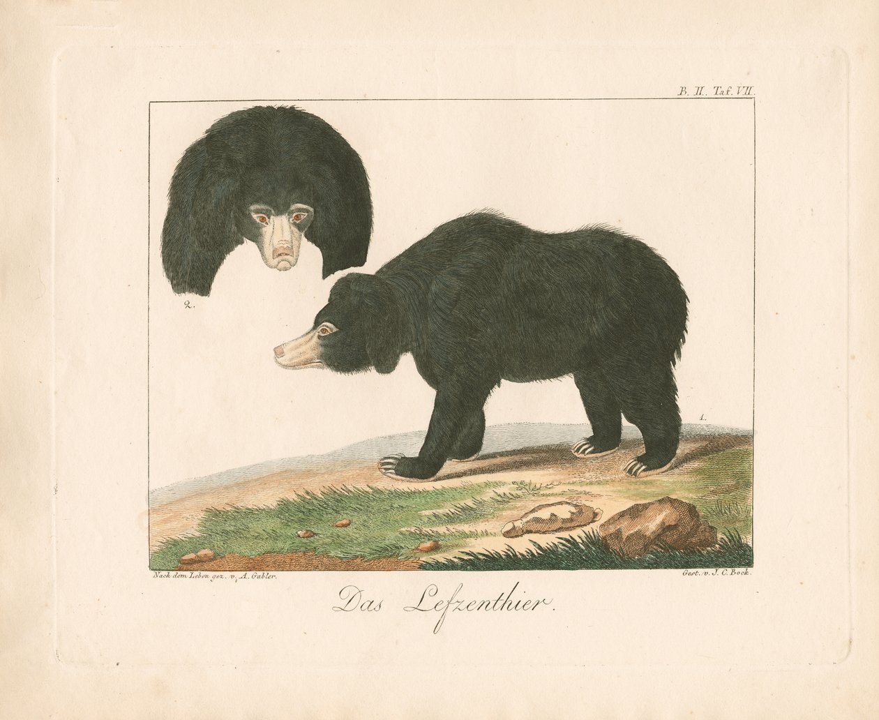  by Ambrosius Gabler