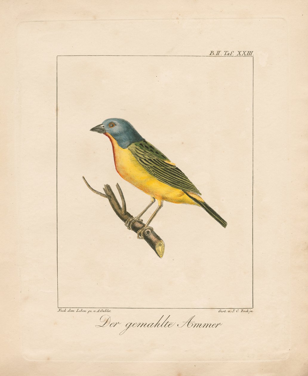  by Ambrosius Gabler
