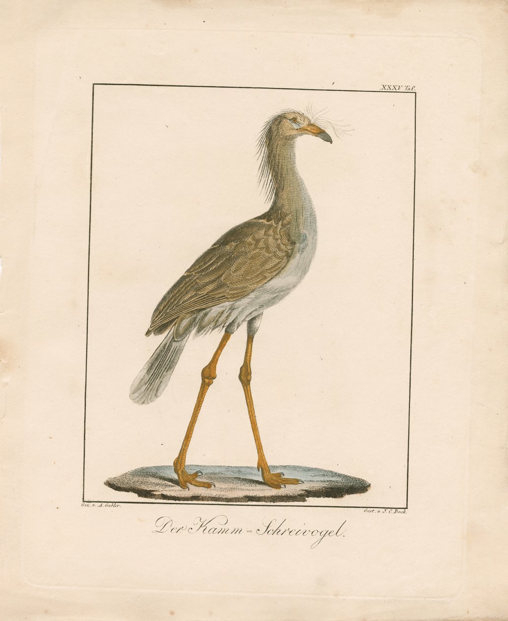  by Ambrosius Gabler