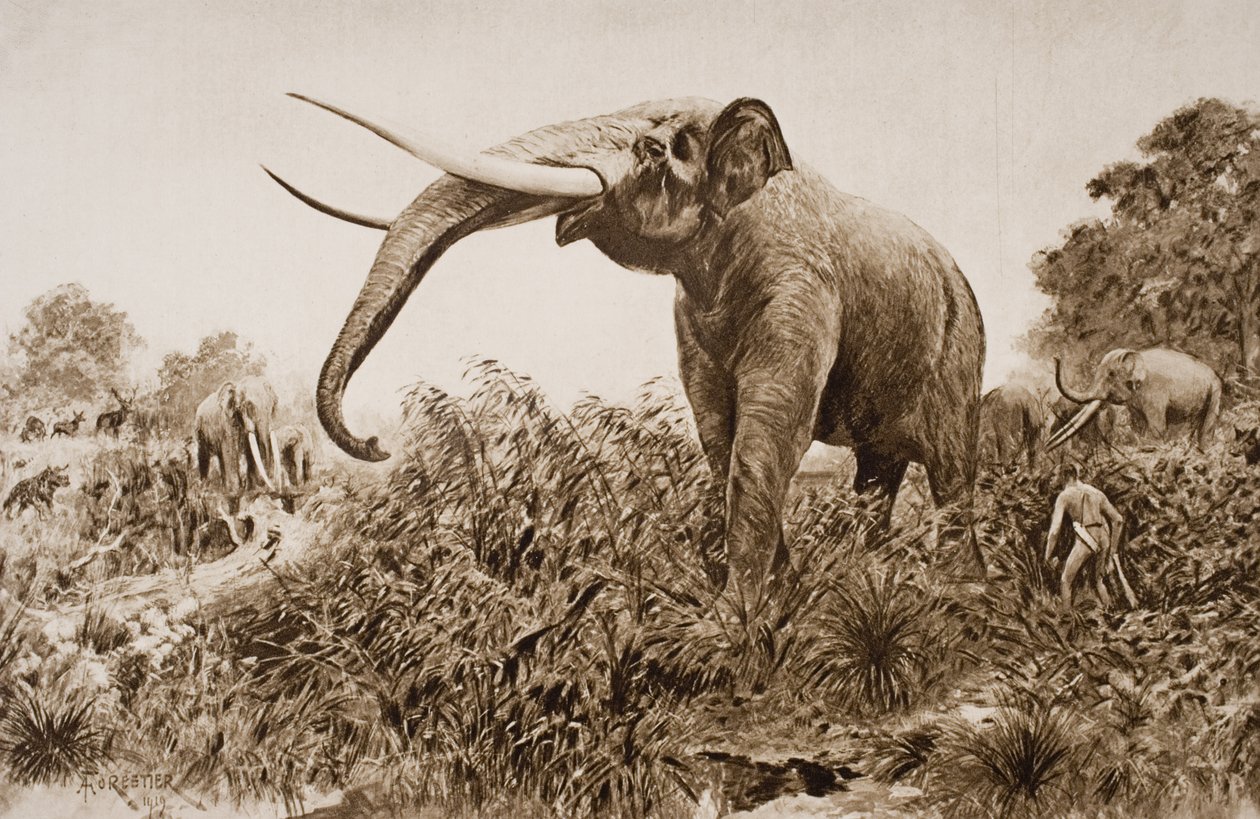 Chatham Elephant, H.G. Wells