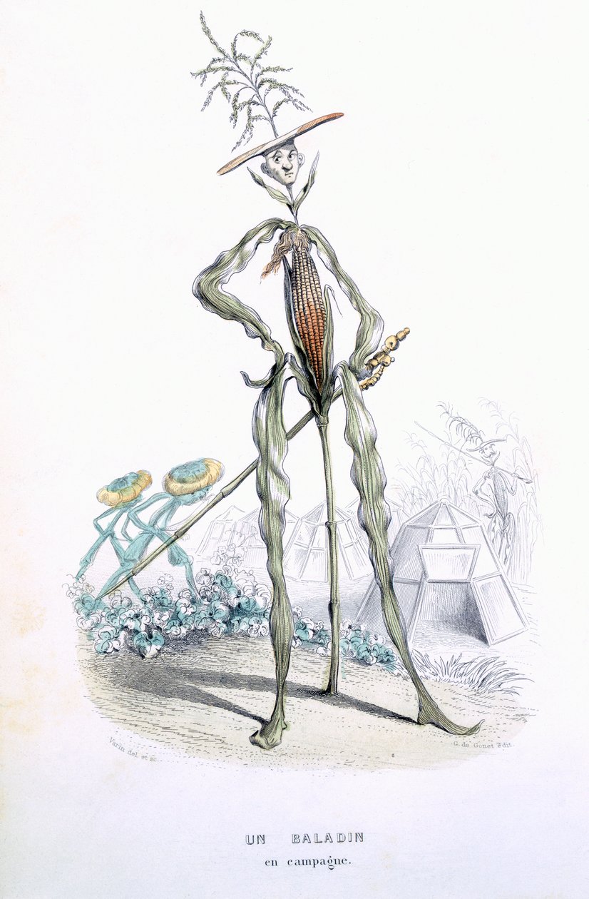 Eugene Nus ve Meray Antoine, 1851 (renkli gravür) tarafından 'L'Empire des Legumes, Memoires de Curcurbitus' adlı bir Ülke Arabası by Amedee Varin