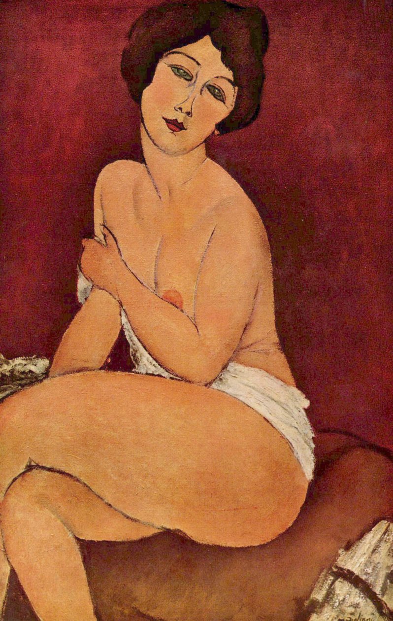 kadın çıplak by Amedeo Modigliani