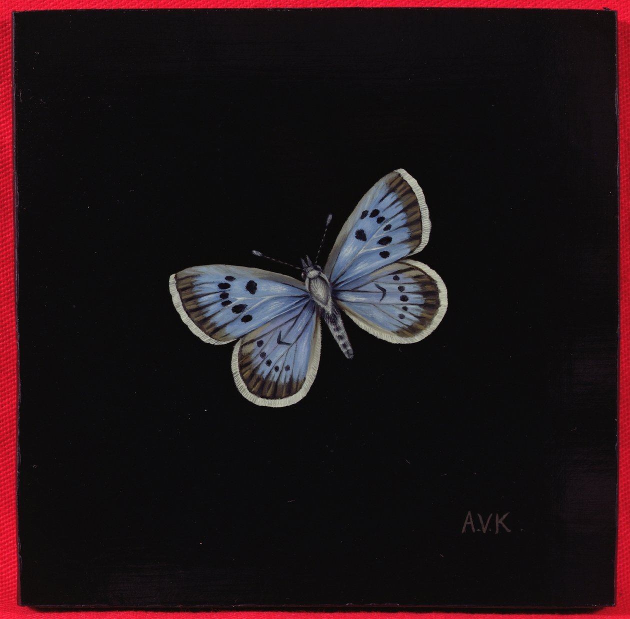 Büyük mavi kelebek, 2000 by Amelia Kleiser