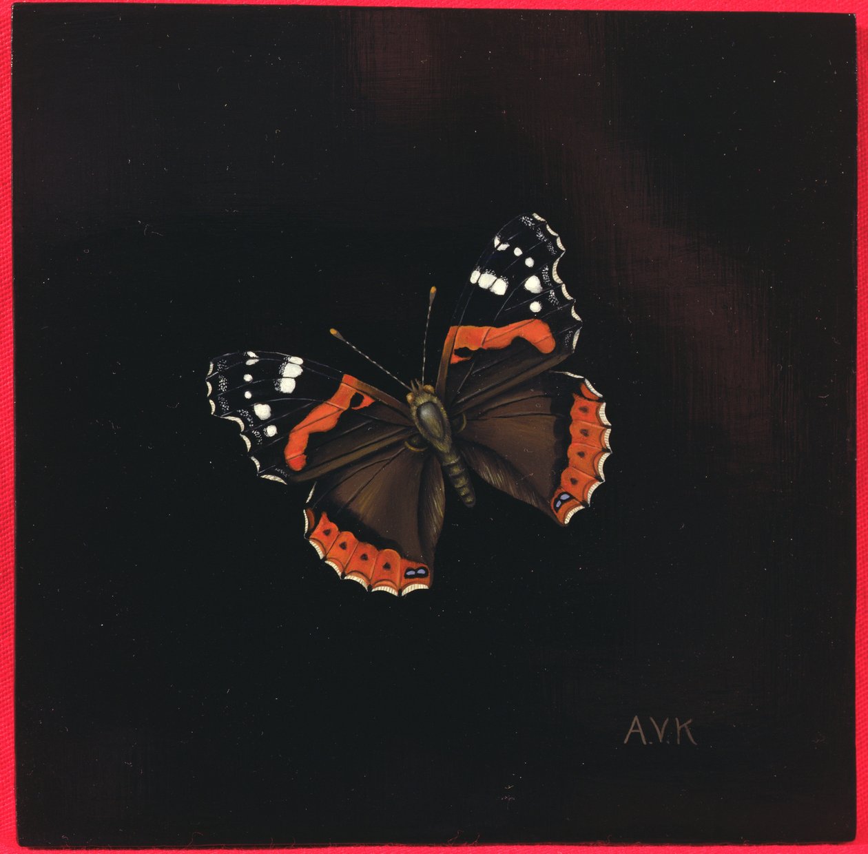 Kızıl Amiral kelebek, 2001 by Amelia Kleiser