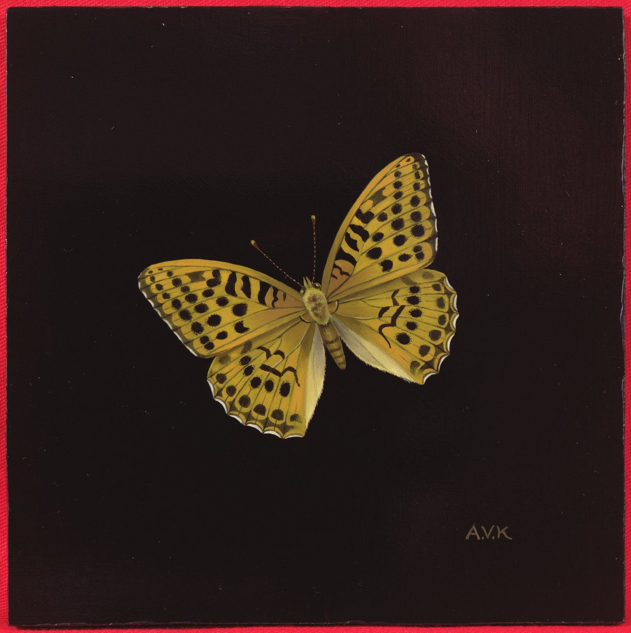 Gümüş yıkanmış fritiller kelebek, 2000 by Amelia Kleiser