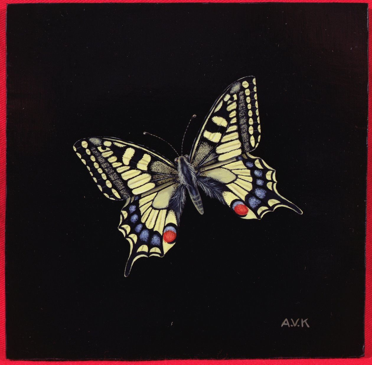 Kırlangıç ​​kelebeği, 1999 by Amelia Kleiser