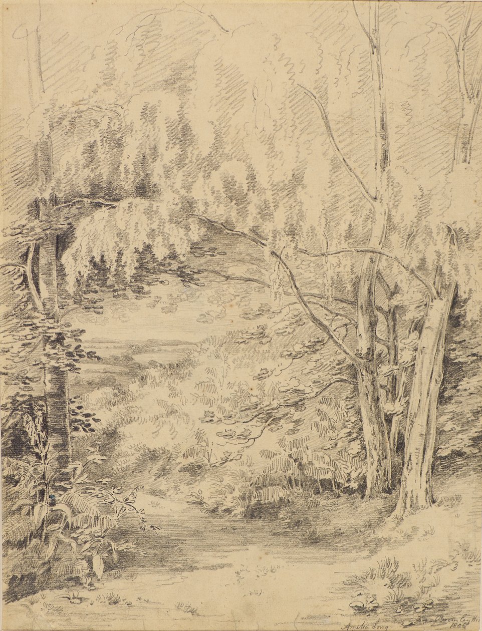 Bromley Tepesi by Amelia Long