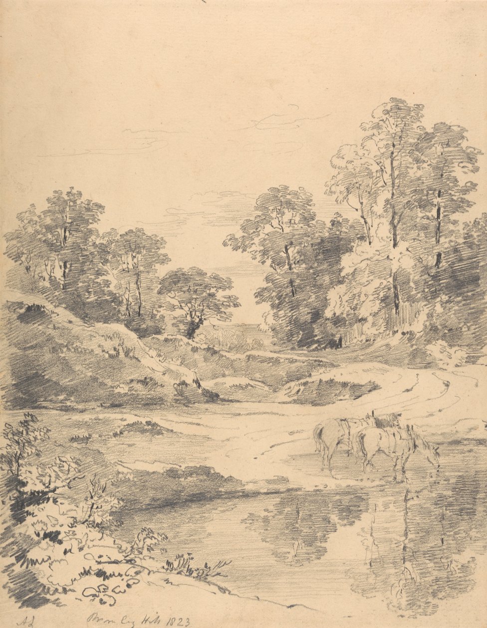 Bromley Tepesi, Kent by Amelia Long