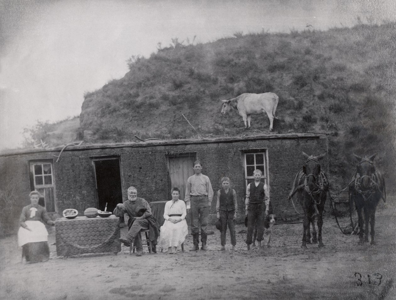 Amerikalı öncü aile evlerinin önünde by American Photographer