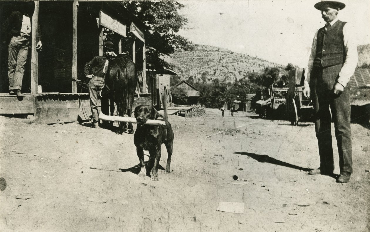 Butch Cassidy (1886-1908) by American Photographer