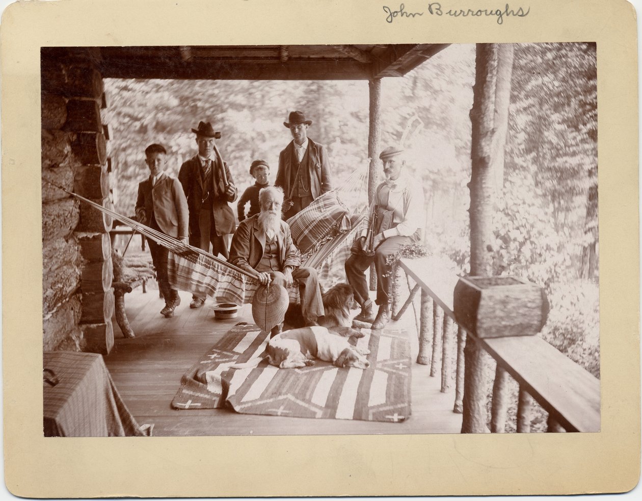 John Burroughs (1827-1921), Amerikalı doğa bilimci, grubun ortasında hamakta oturuyor (gümüş klorür fotoğrafı) by American Photographer