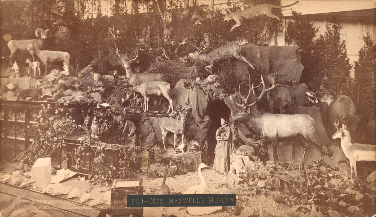 Bayan Maxwells Müzesi (albüm baskısı) by American Photographer