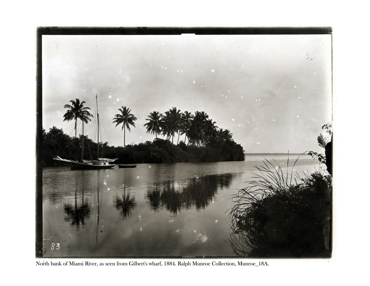 Miami Nehri