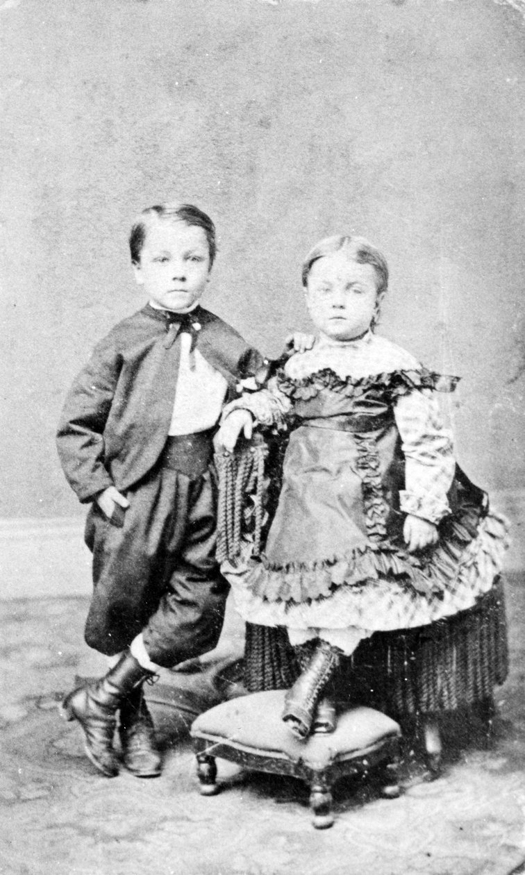 Bir Kardeşin Portresi, 1860 dolayları by American Photographer