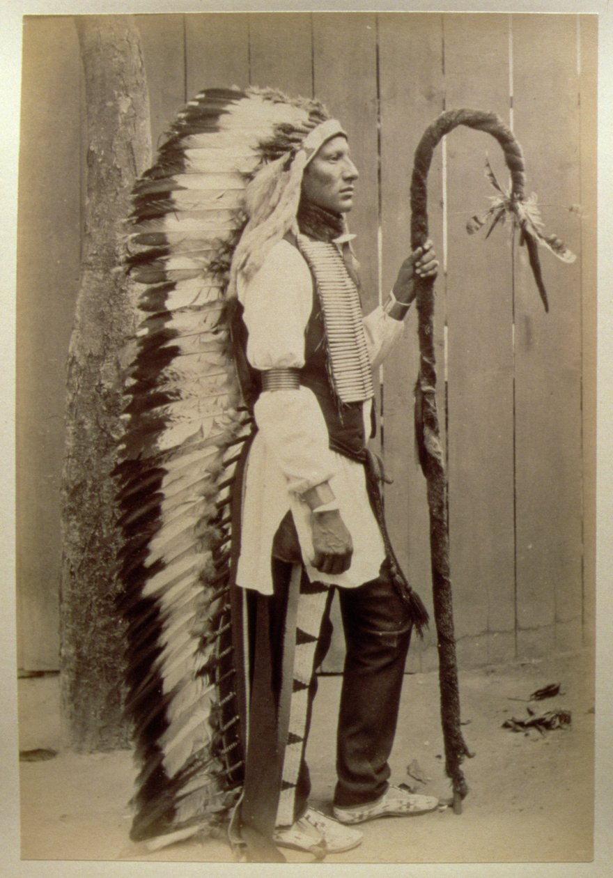 Buffalo Bills Wild West