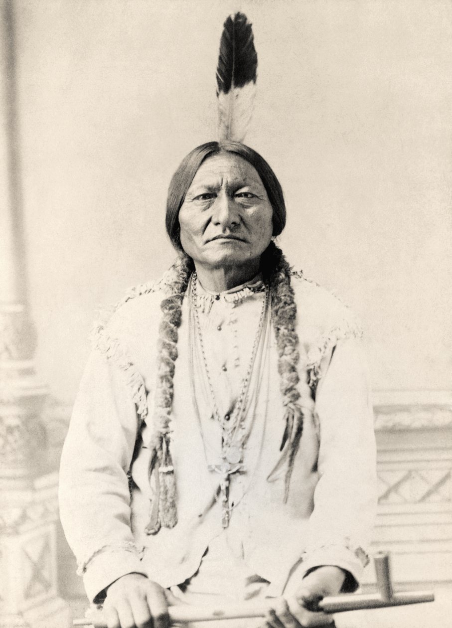 Oturan Boğa by American Photographer