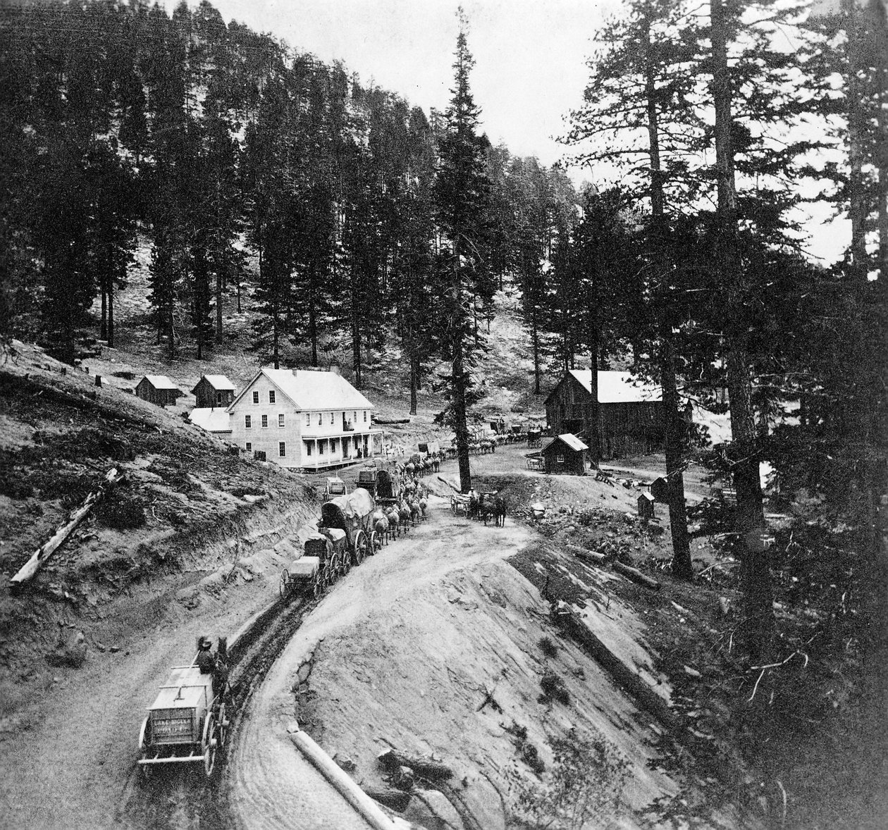 Swifts Station, Carson ve Lake Bigler Road, California, Lawrence ve Houseworth tarafından yayınlanan Gems of California Scenery