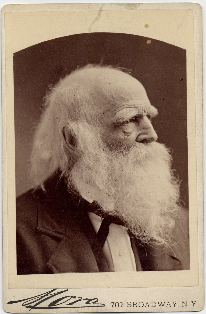 William Cullen Bryant (1794-1878), Amerikalı Şair, fotoğraf Albert J Mora, New York (albüm fotoğrafı) by American Photographer