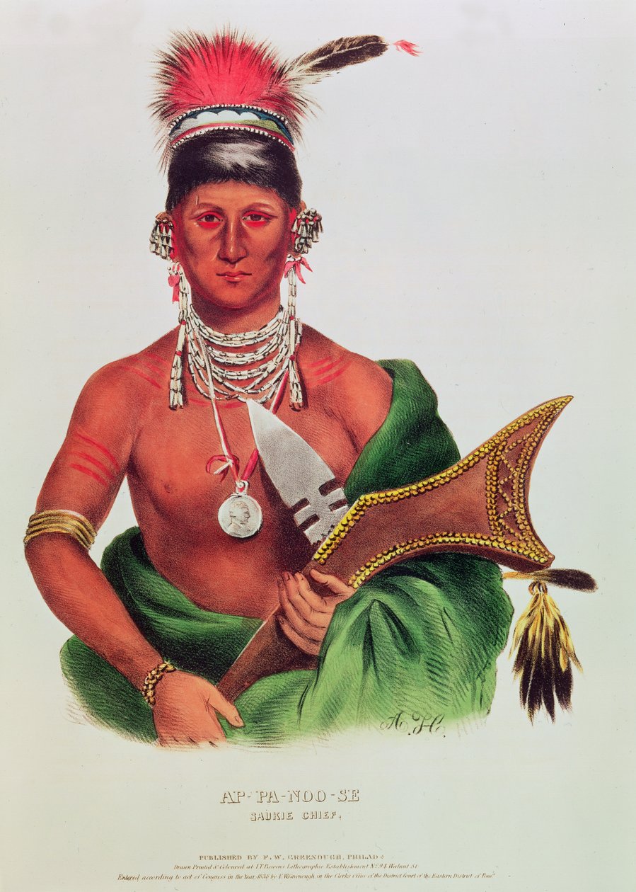 Ap-Pa-Noo-Se, Saukie Şefi by American School