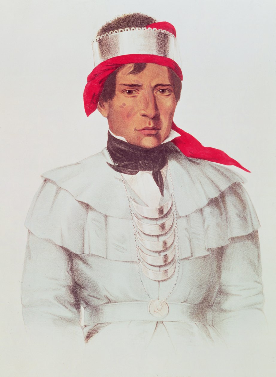 Chittee Yoholo, Seminole Şefi by American School