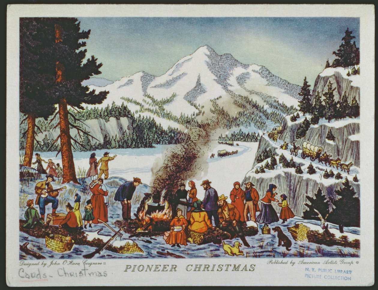 Bir Pioneer Noel