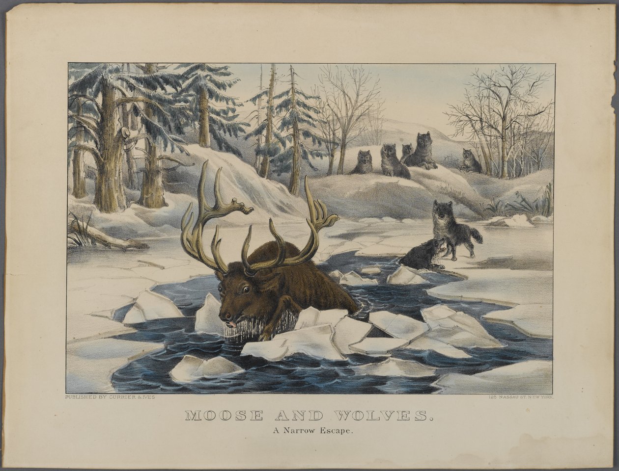 Moose and Wolves, A Dar Escape, Currier & Ives, New York tarafından yayınlandı (el boyaması taş) by American School