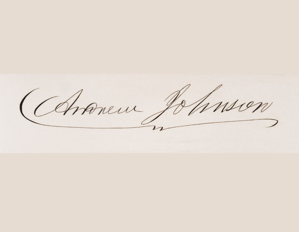 Andrew Johnson
