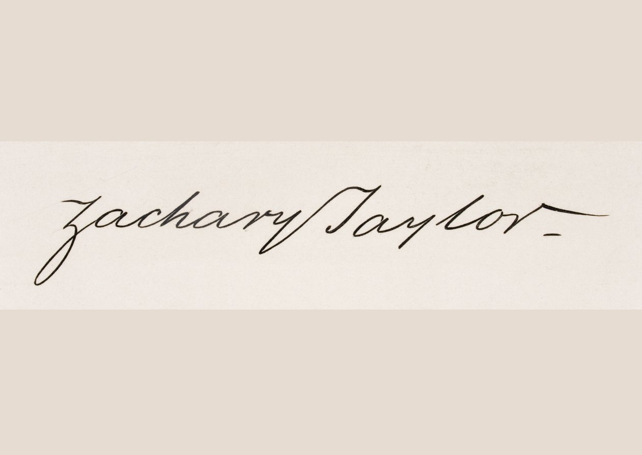Zachary Taylor
