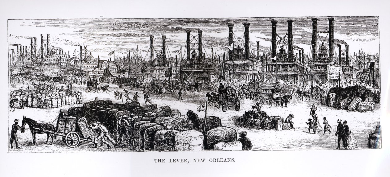 Levee, New Orleans by American School