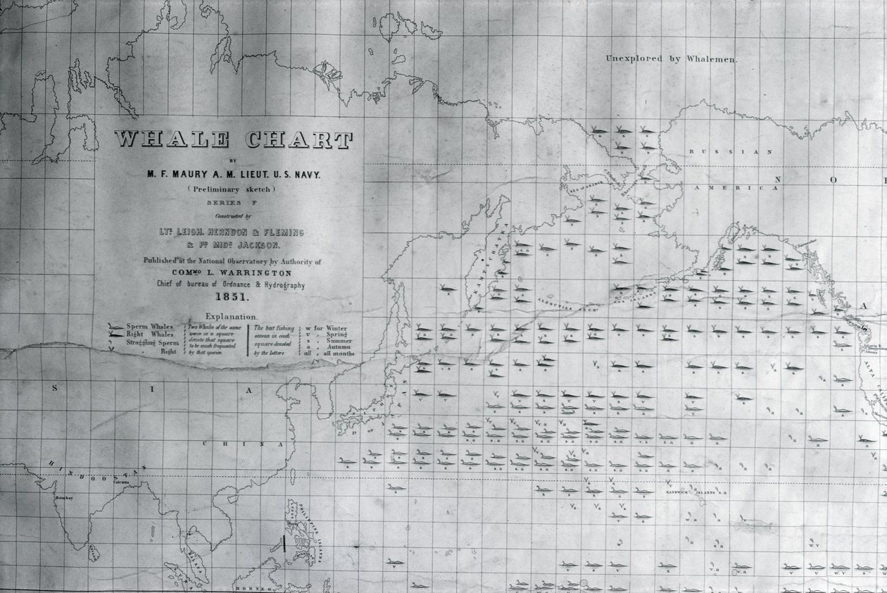 Kuzey Pasifik Balina Haritası, 1851 by American School