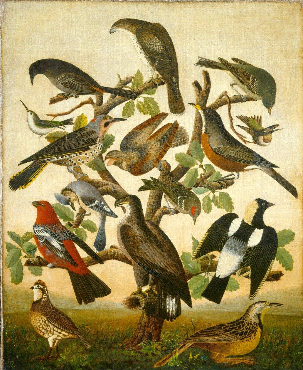 kuşlar by American 19th Century