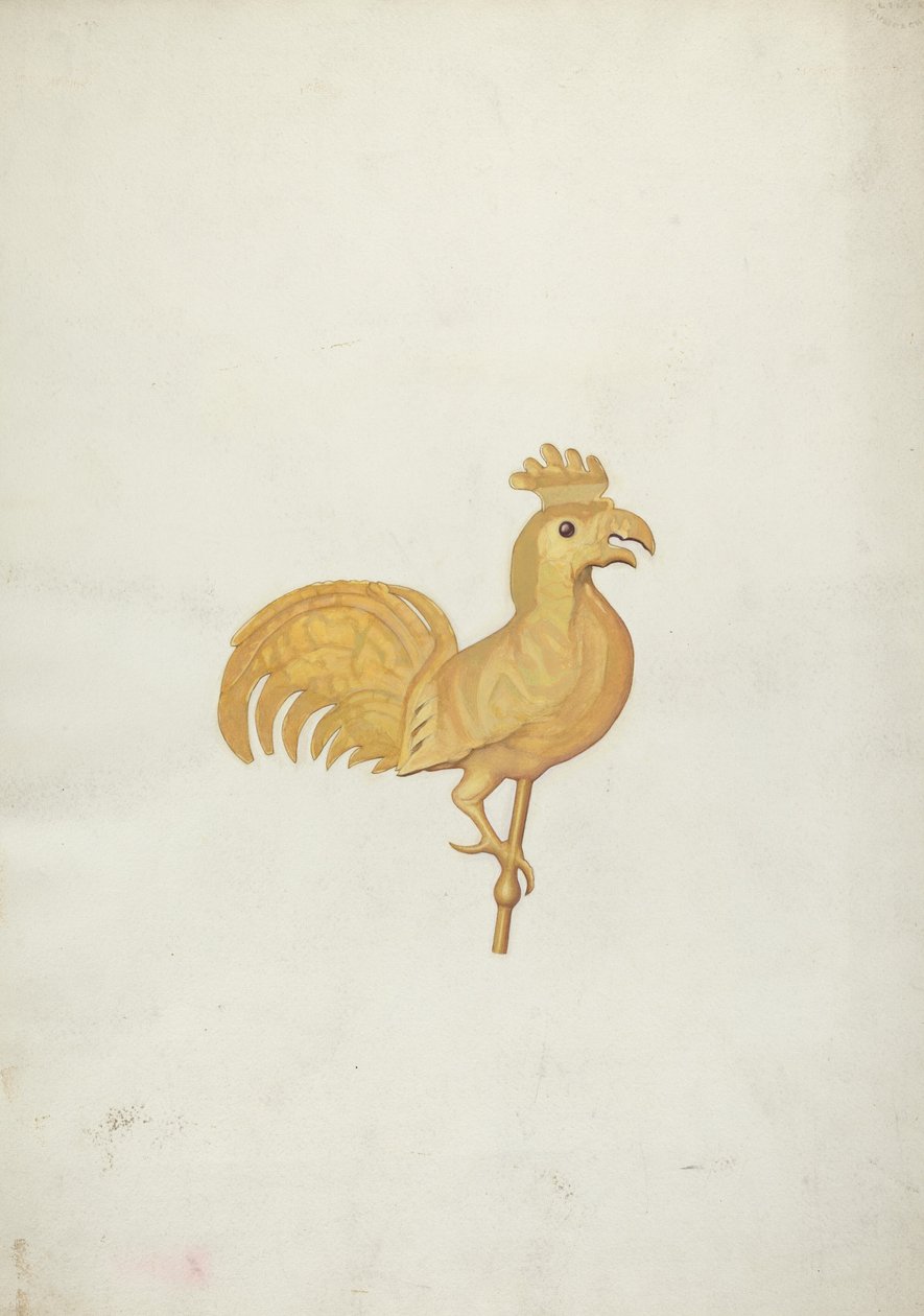 Horoz Rüzgar Gülü by American 20th Century