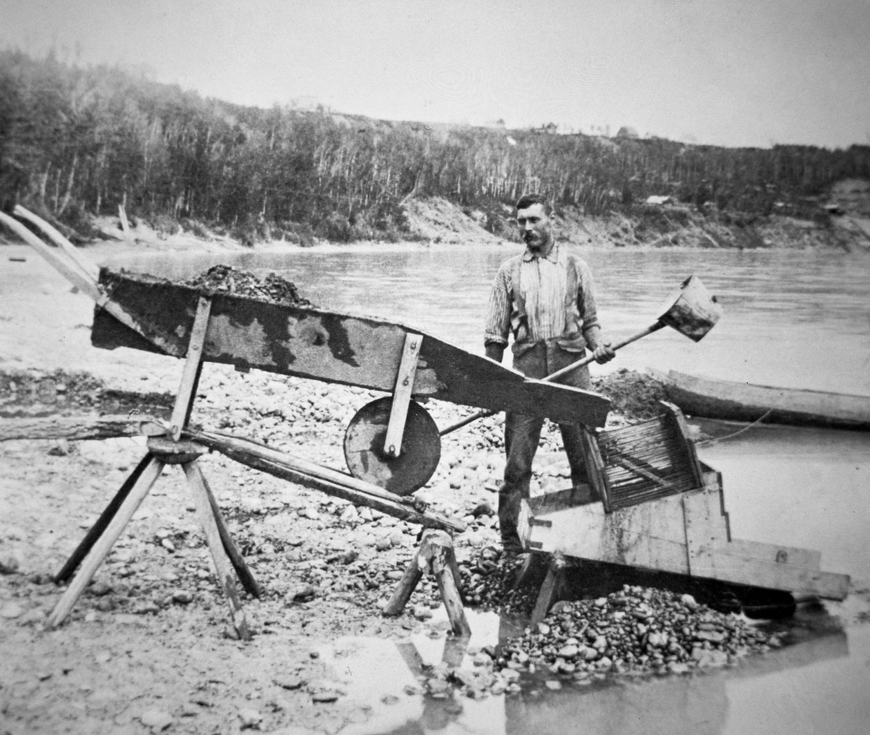 Klondike Gold Rush (1897-98) 1898 sırasında Klondike nehir suyundan altın yıkamak için bir "rocker" veya "beşik" yükleyen bir maden arayıcısı (s/b fotoğraf) by American Photographer