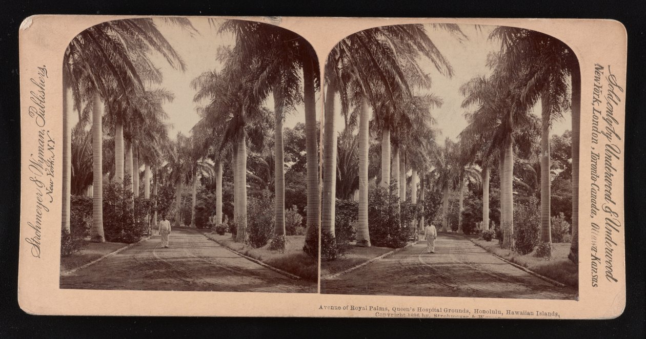 Royal Palms Caddesi, Queen