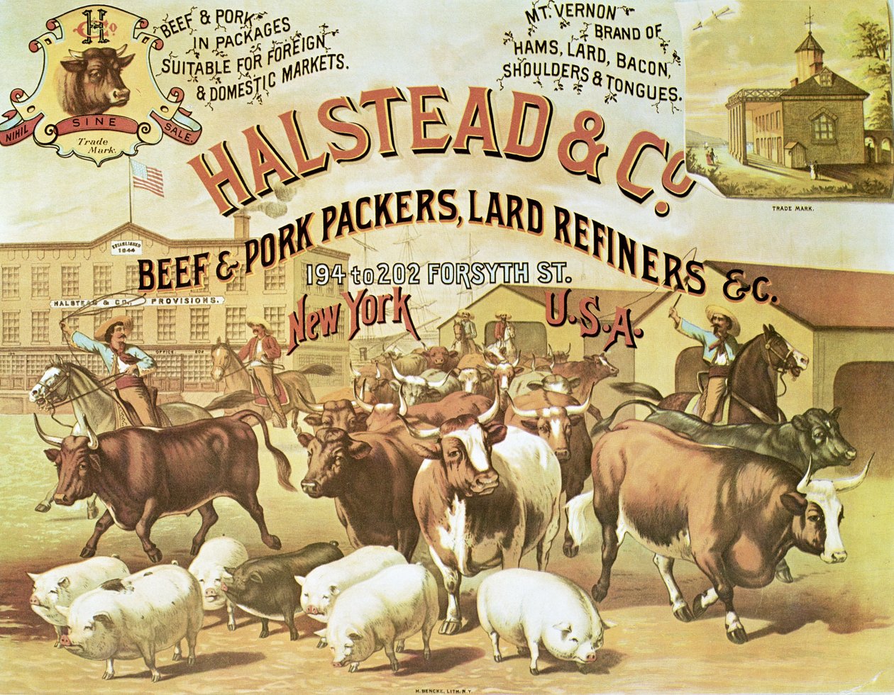 Beef & Pork Packers, c.1880 (renkli taş) by American Photographer