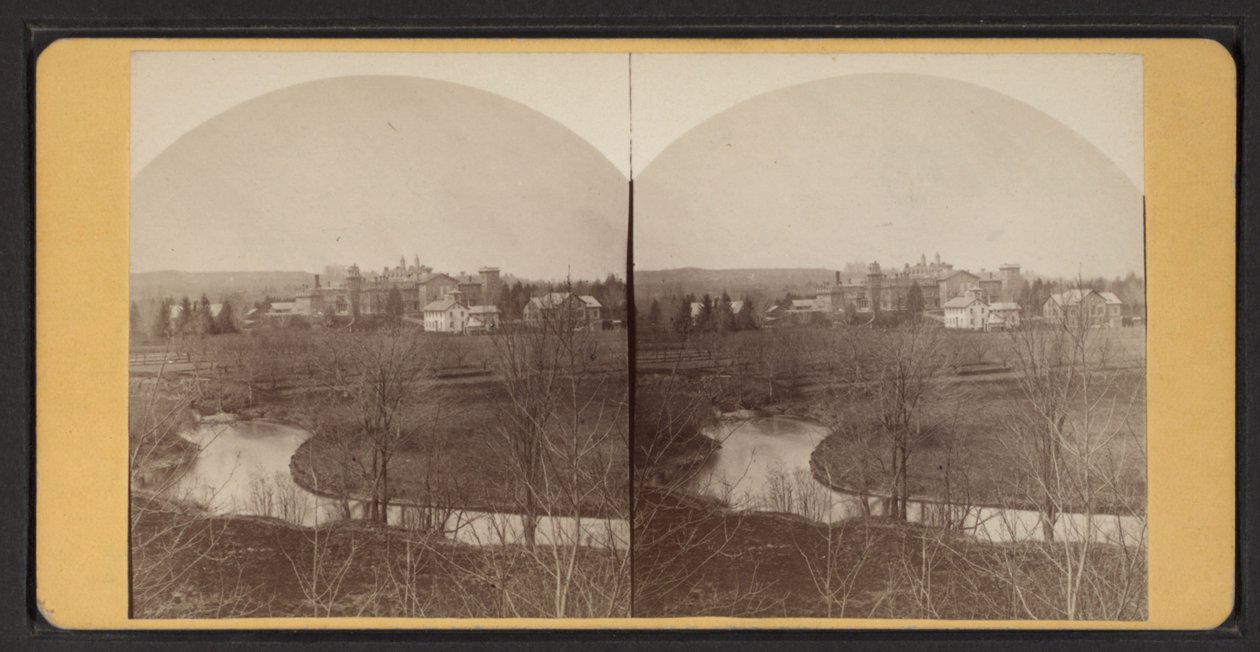 Ev binalarının kuşbakışı görünümü, 1870 dolayları (s/b fotoğraf) by American Photographer