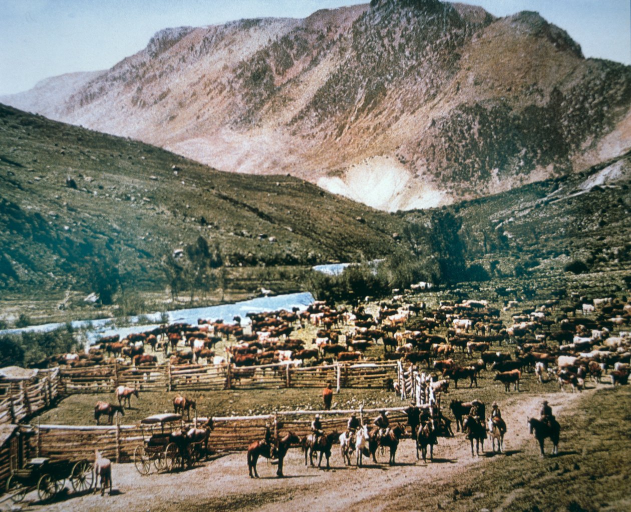 Sığır Çiftliği, Colorado by American Photographer