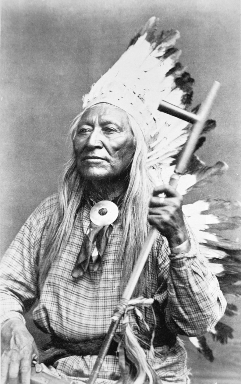 Chief Washakie (c.1804-1900) (s/b fotoğraf) by American Photographer