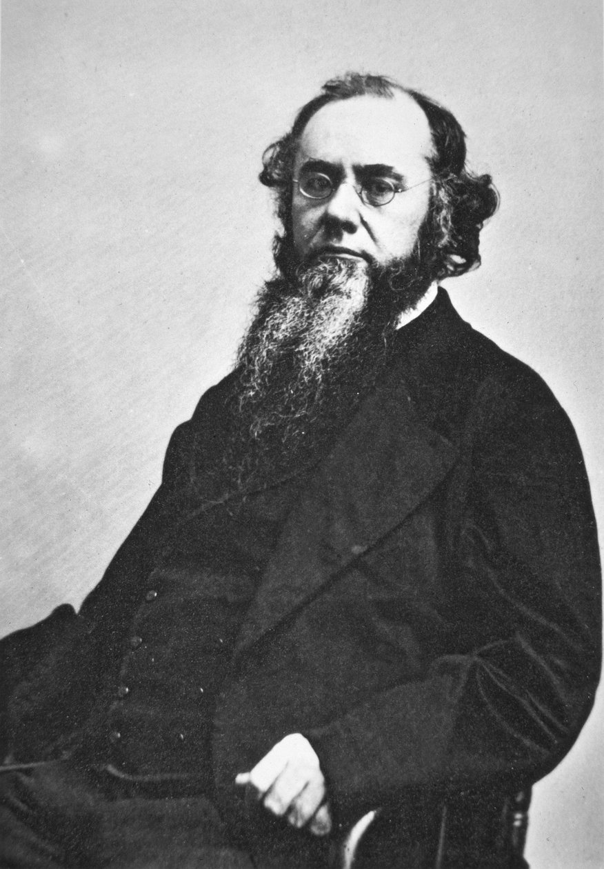 Edwin M. Stanton (1814-69) (s/b fotoğraf) by American Photographer