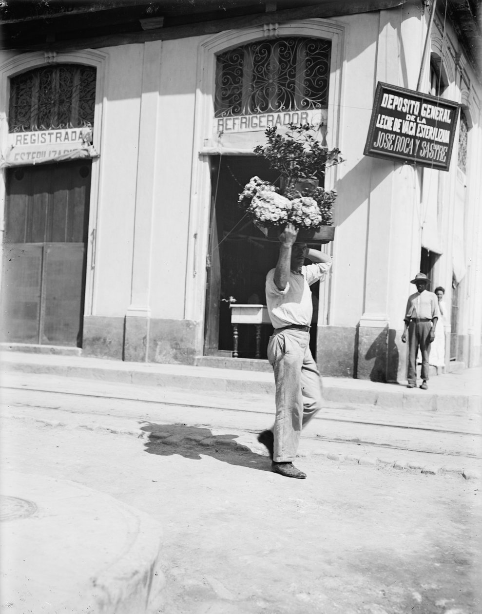 Çiçekçi, Havana, c.1910 (s/b fotoğraf) by American Photographer