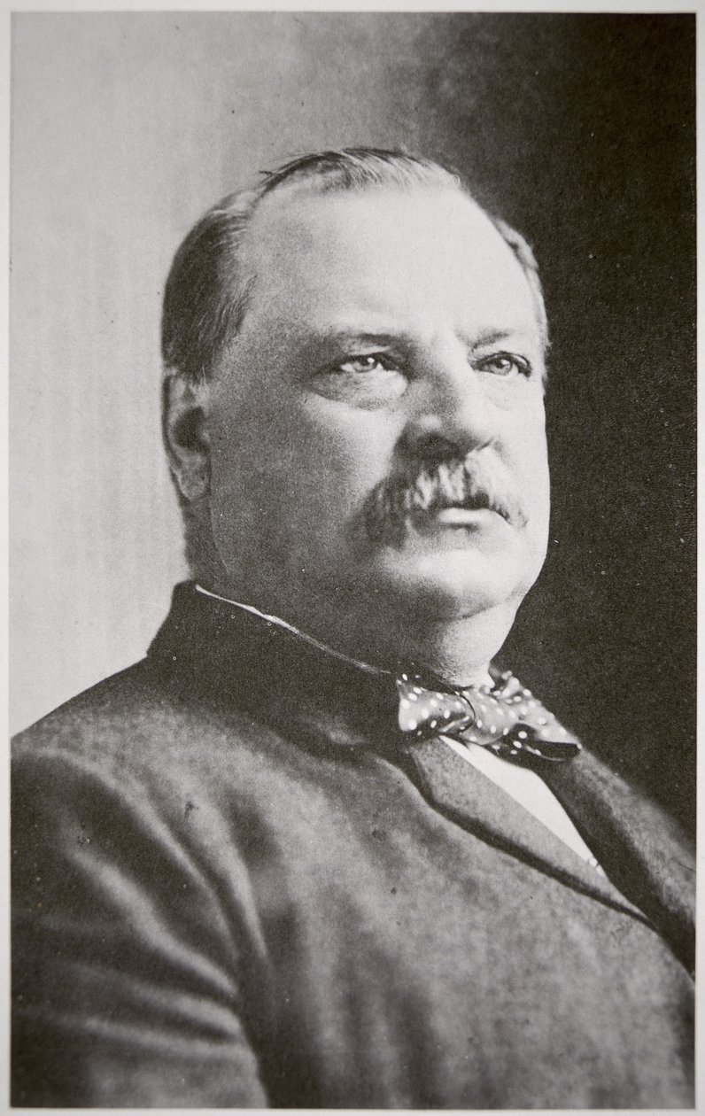 Grover Cleveland (s/b fotoğraf) by American Photographer