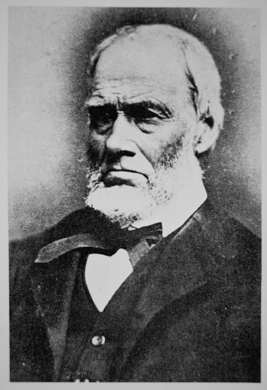 James W. Marshall (1810-85) (s/b fotoğraf) by American Photographer