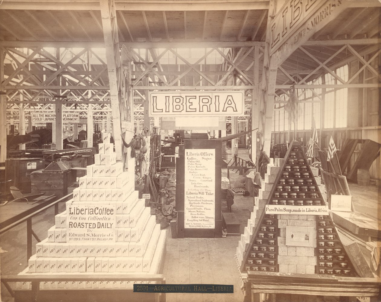 Liberya sabun ve kahve sergisi, Tarım Salonu, Philadelphia Centennial Sergisi, 1876 (albüm baskısı) by American Photographer