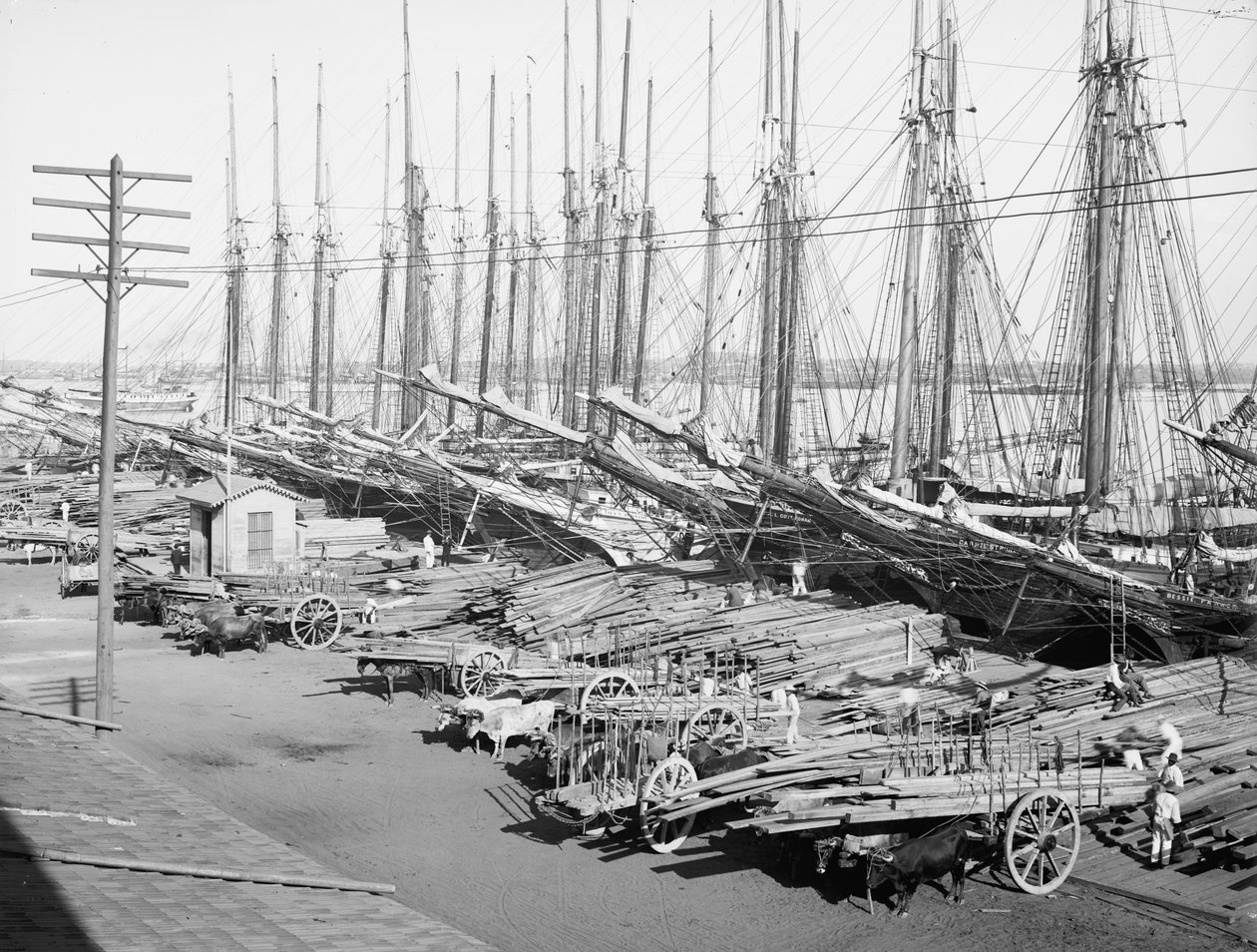 Muelle Tallapiedras, Havana, c.1904 (s/b fotoğraf) by American Photographer