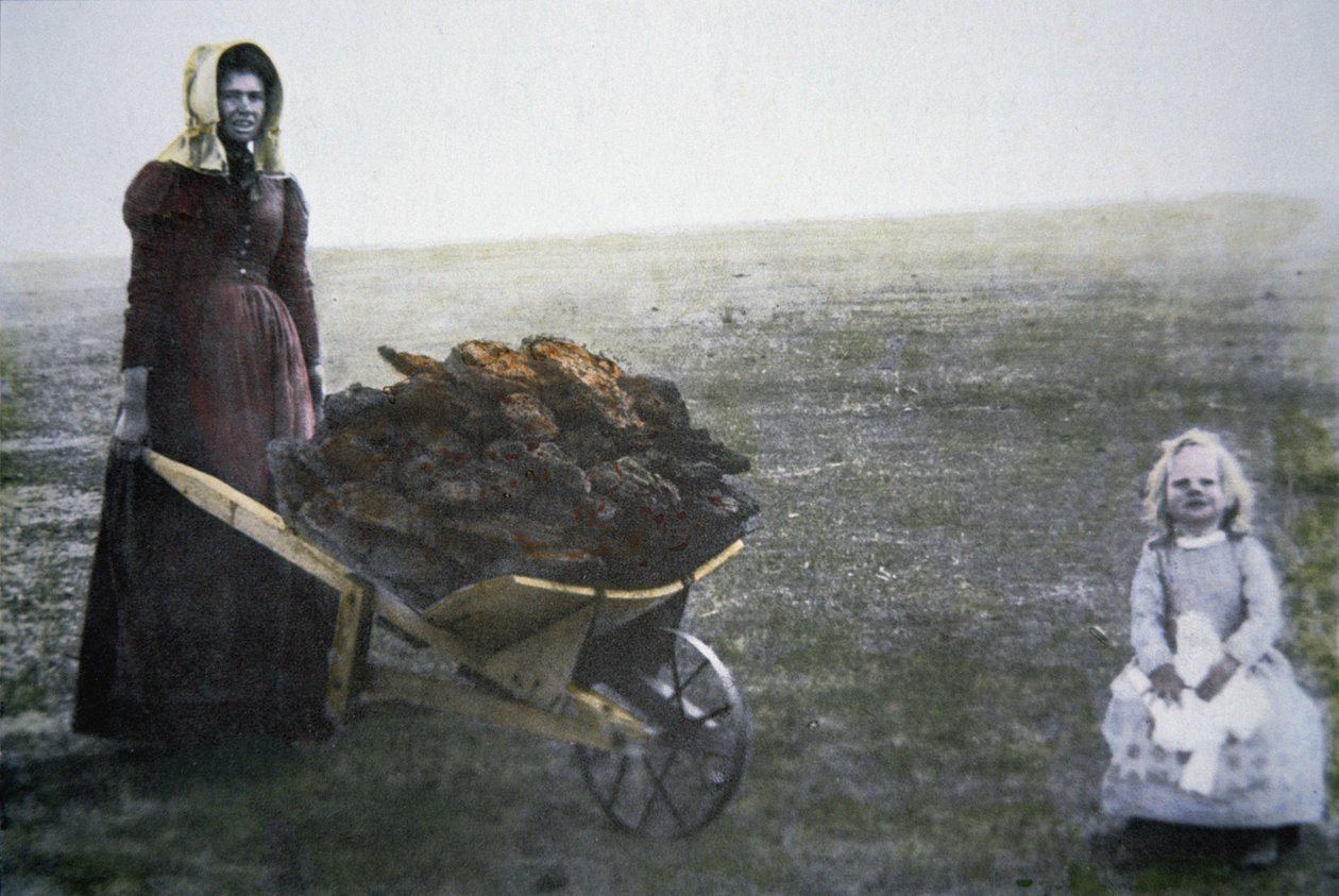 Sığır gübresi toplayan öncü kadın, Kansas, 1880 dolayları (renkli fotoğraf) by American Photographer