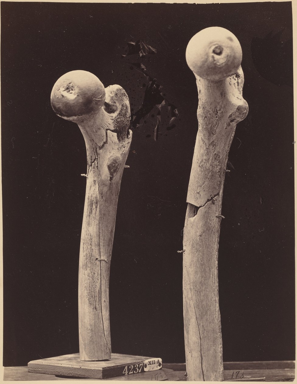  by American Photographer